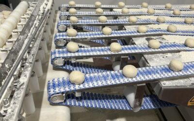 Human Food Processing & Preparation